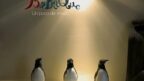 BaBaQue-cover-1